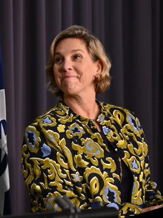 Robyn Delong Movers & Shakers: Social Services secretary, R&D review