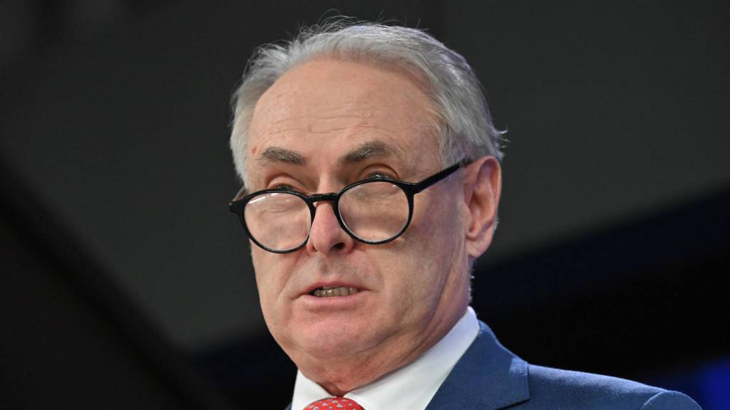 Government launches inquiry into parliamentary support and safety