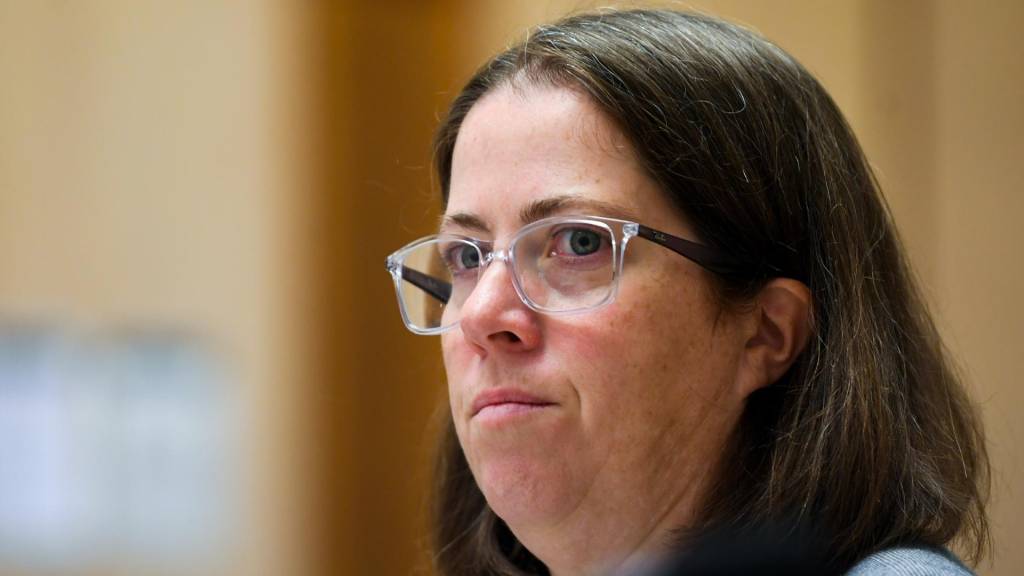 DEWR details ‘forward leaning' AI policy