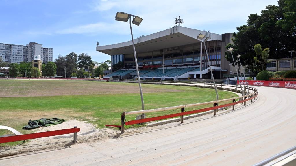 Auditor-general urges systemic overhaul of NSW greyhound regulator