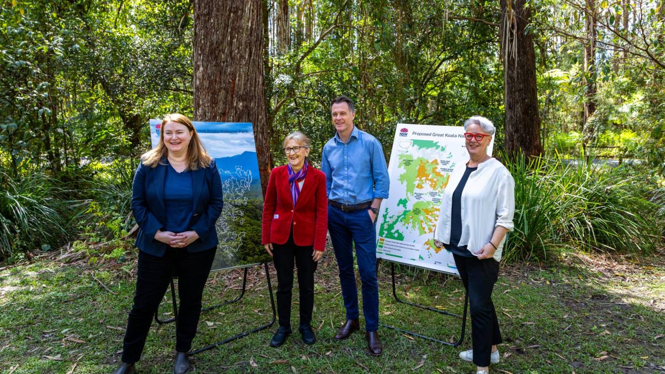 Koala National Park to impact NSW Forestry staff