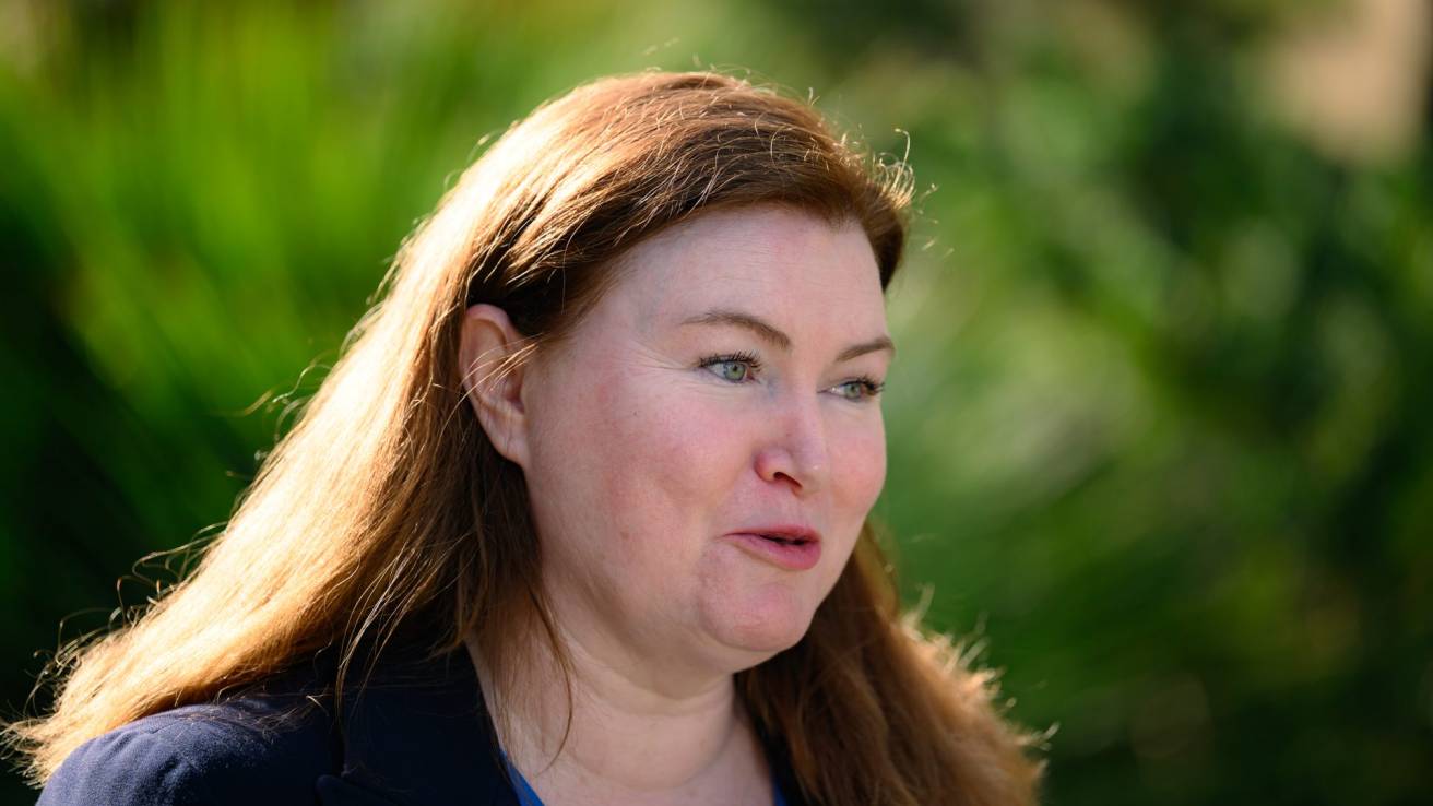 NSW moves to establish Animal Welfare Office